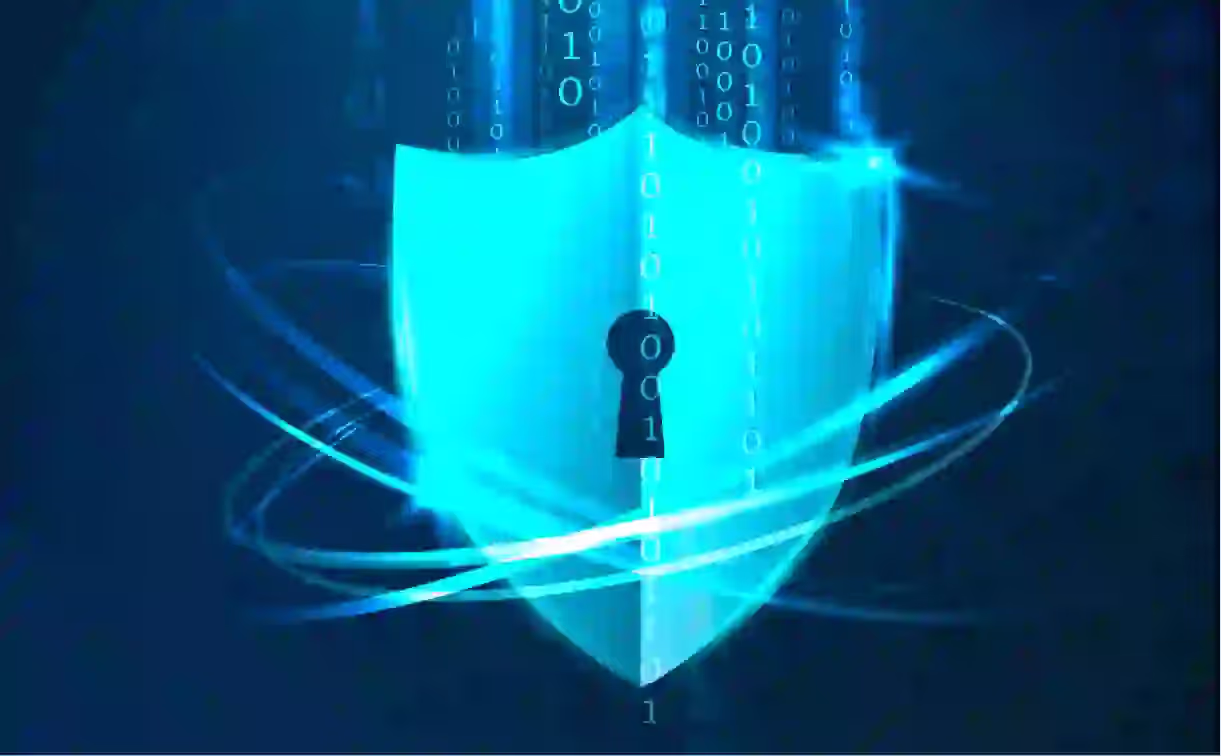 Clarifying the Differences Between Free and Paid Versions